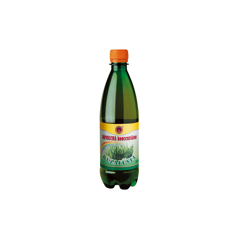 Kombucha búzafüves koncentrátum (500 ml)