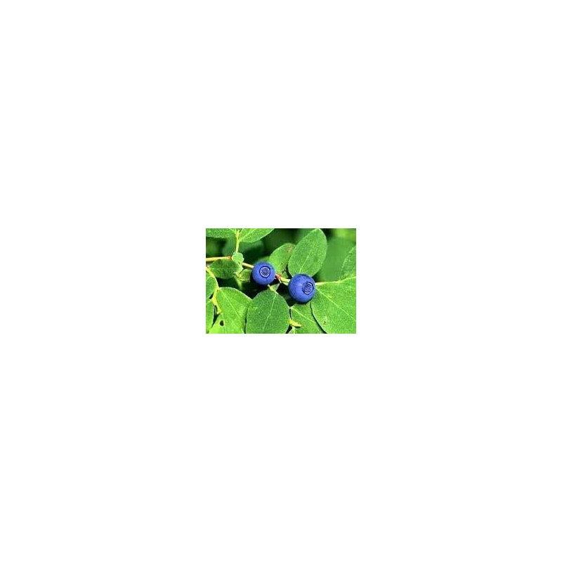 DIOSMIN+HESPERIDINA 30 TABLETE