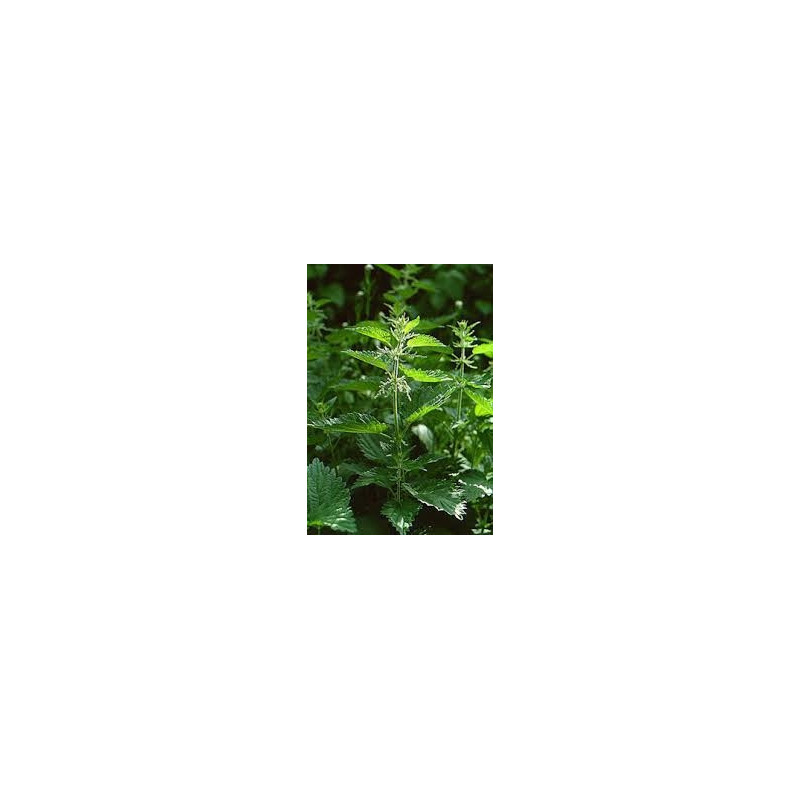 DIOSMIN+HESPERIDINA 30 TABLETE