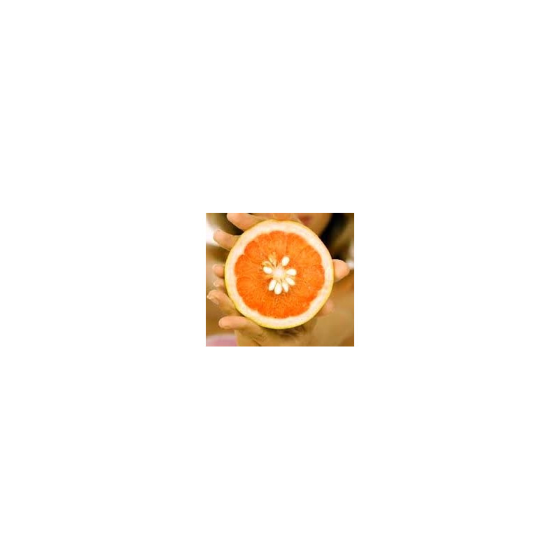 JutaVit Grapefruit mag kivonat cseppek 30ml