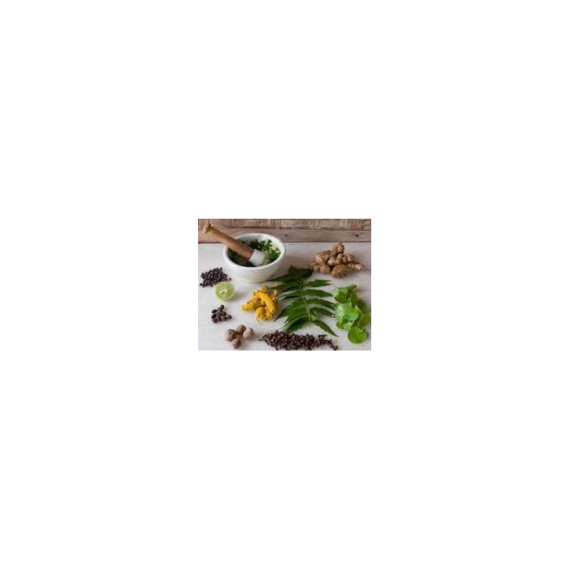 JUTAVIT PICATURI SUEDEZE DIN 35 PLANTE | 1%ALC 500ML