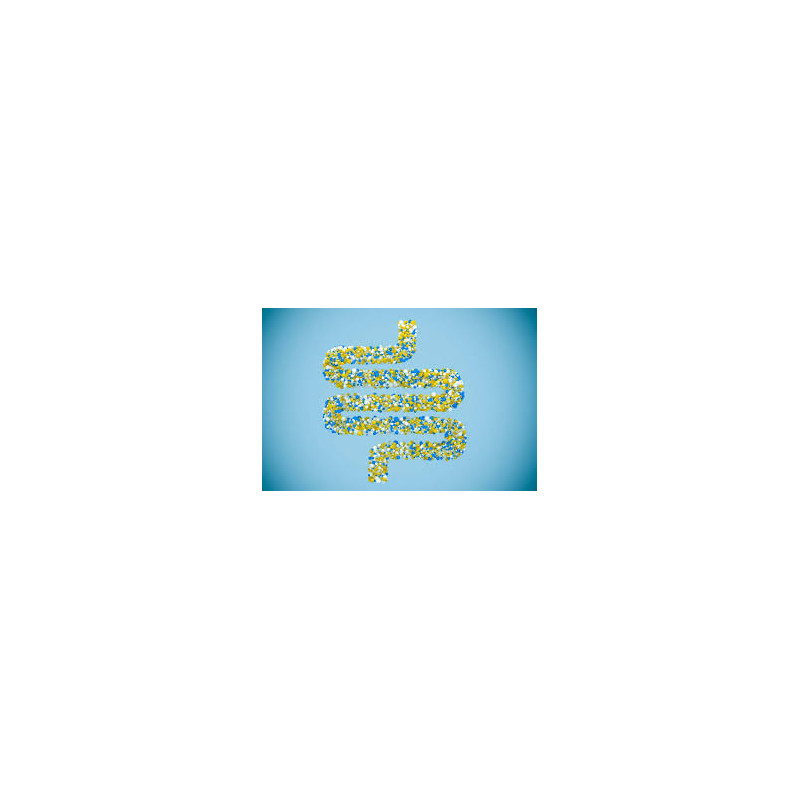 JUTAVIT PROBIOTIC PLUS 15BUC/CUT