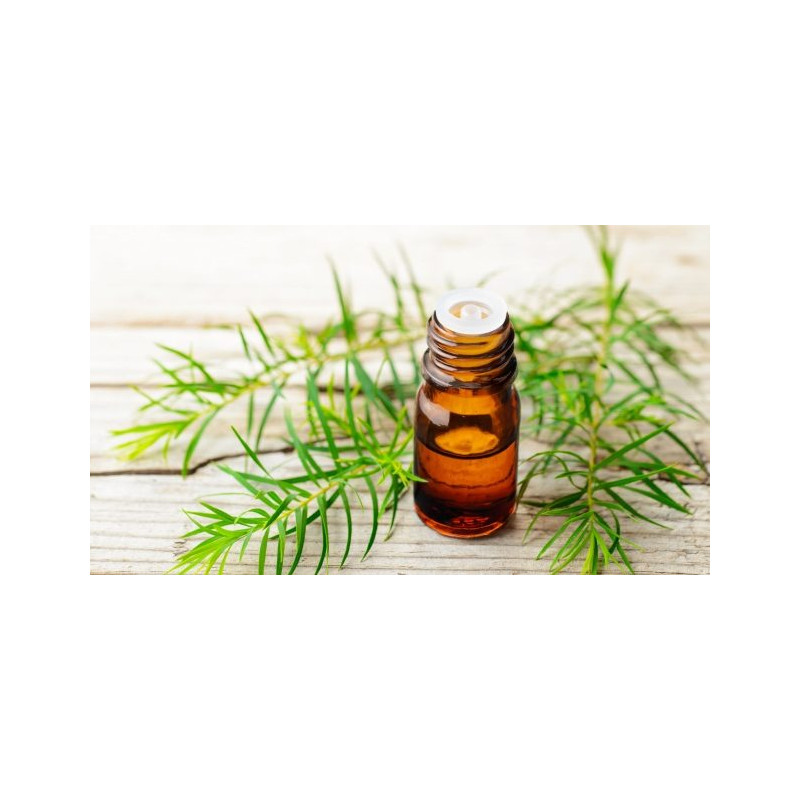 DR Herz&nbsp;Ulei din&nbsp;Arbore de ceai Australian&nbsp;aromoterapie 10ml