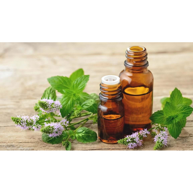 DR Herz&nbsp;Ulei de&nbsp;Menta piperata&nbsp;aromaterapie 10ml