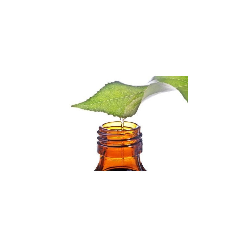 DR Herz&nbsp;Ulei de&nbsp;Eucalipt&nbsp;aromaterapie 10ml