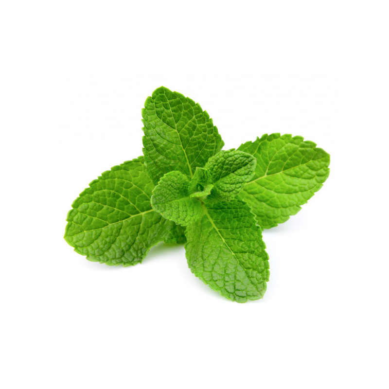 Dr. Herz Fodormenta illóolaj 10ml