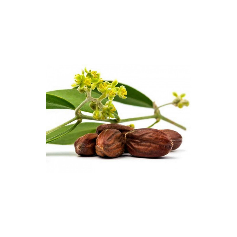 DR Herz&nbsp;Ulei de&nbsp;Jojoba 100%&nbsp;presat la rece&nbsp;50ML-&nbsp;UZ COSMETIC