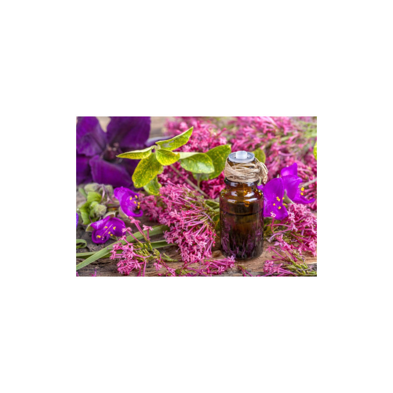 DR Herz&nbsp;Ulei de&nbsp;Salvie&nbsp;aromaterapie 10ml