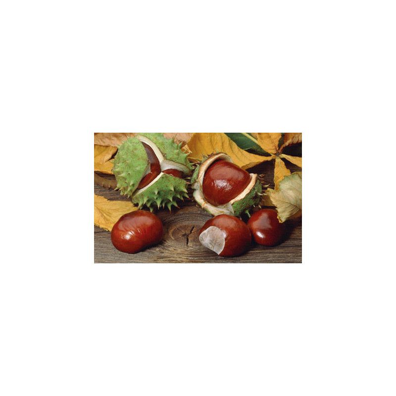 DR Herz&nbsp;Gel de&nbsp;Castane&nbsp;125 ml
