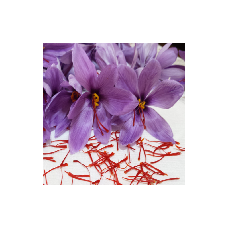 Crema regeneratoare cu sofran - ten uscat normal 15 gr
