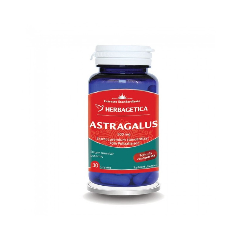 ASTRAGALUS HERBAGETICA 500 mg 30 kapszula
