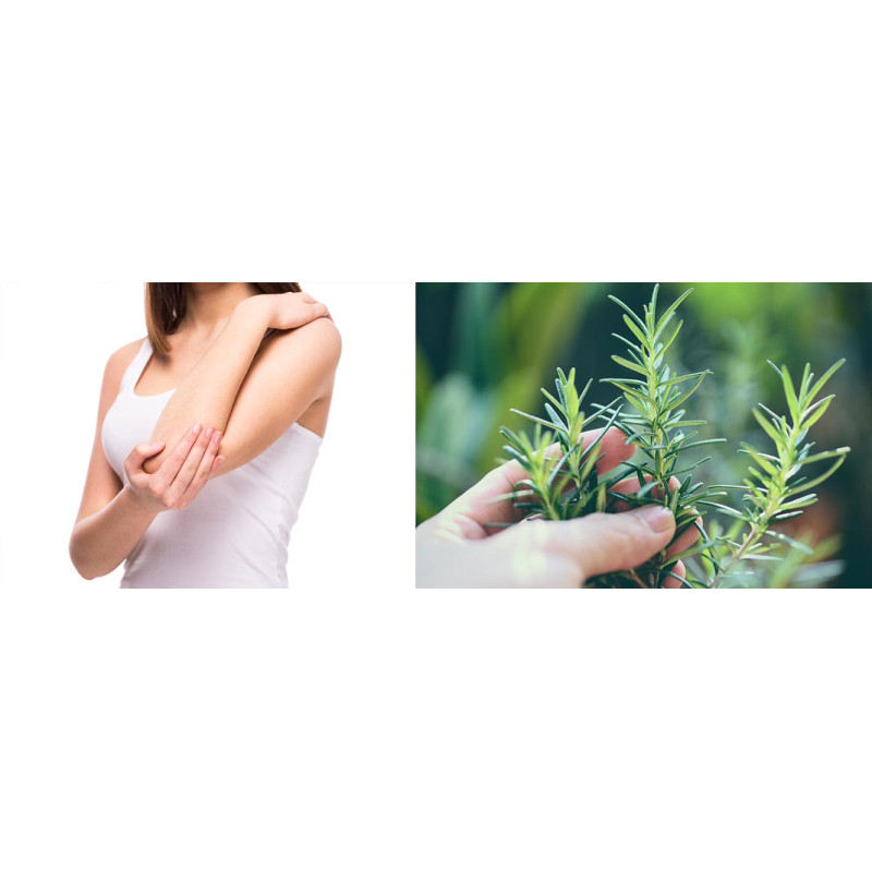 YiYa MSM Rozmarin, 100ml - cremă naturală pentru tratamentul suplimentar al durerilor musculare și inflamațiilor articulare.