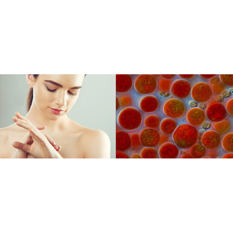 YiYa Astaxanthin, 50 ml - Cremă Calmantă și Regeneratoare 100% Naturală – Pentru Regenerarea Straturilor Profunde ale Pielii!