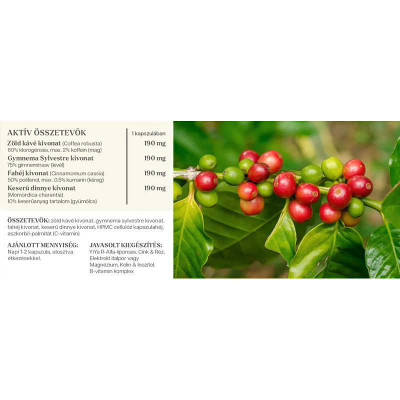YiYa Green Coffee Complex, 60 capsule