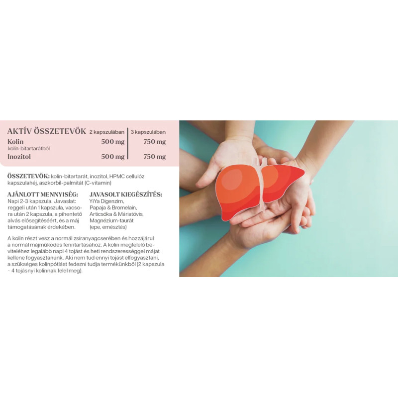 YiYa Kolin & Inozitol, 75 kapszula – a normál májműködésért és az elhízás káros szövődményeinek megelőzéséért!