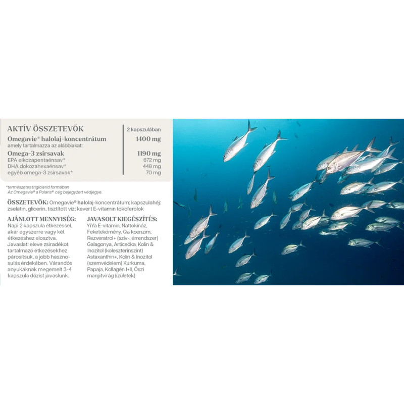 YiYa Halolaj Omega-3, 60 kapszula - gyógyszerminőségű nagy tisztaságú EPA/DHA komplex!