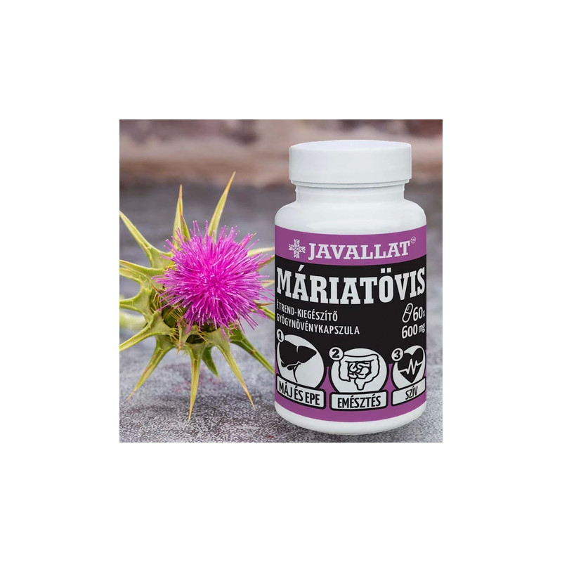 Javallat Armurariu 600 mg – 60 capsule