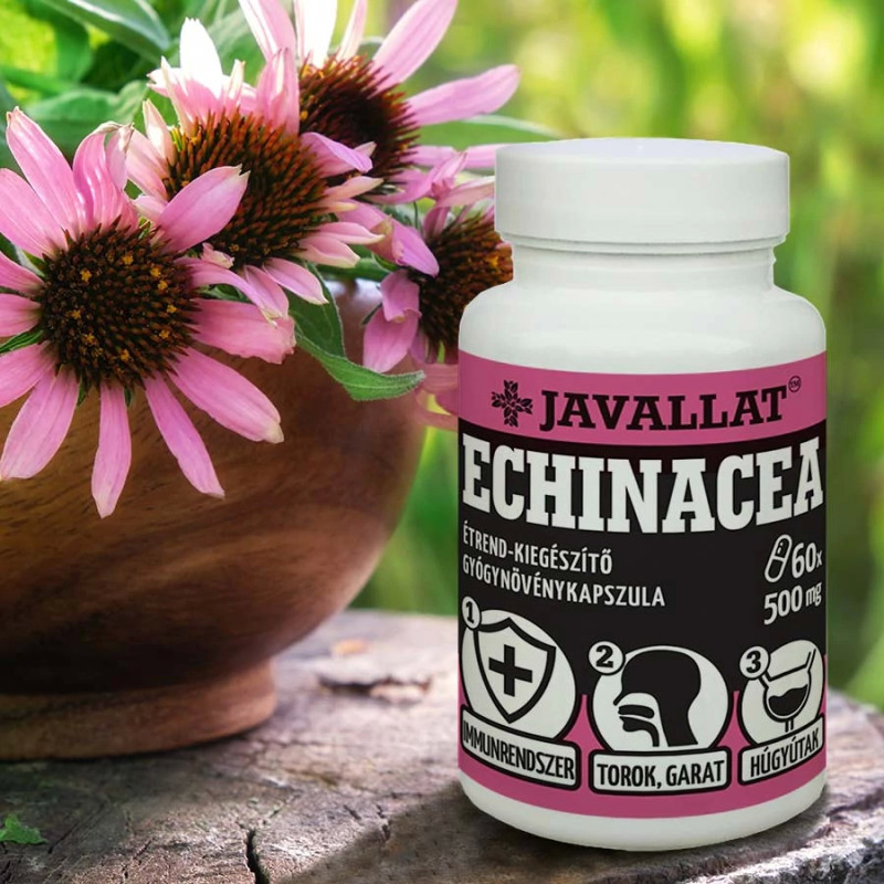 Javallat Echinacea (Kasvirág) Gyökér Kapszula (60 db)