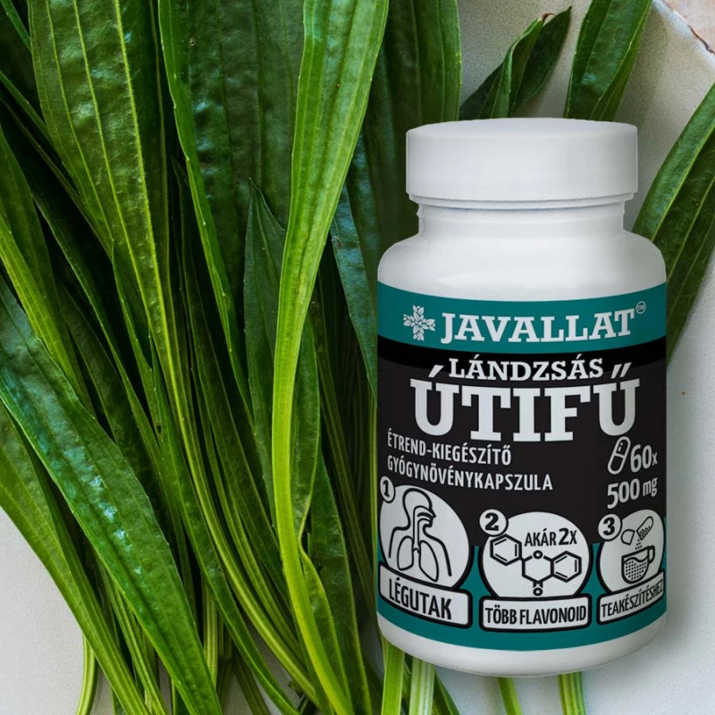 Javallat Capsule cu Pătlagină Îngustă (Lándzsás Útifű) (60 buc)