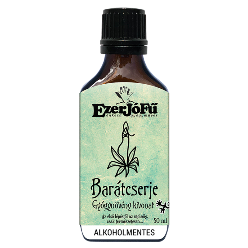 Extract de Vitex Agnus Castus nonalcoolic - 50 ml